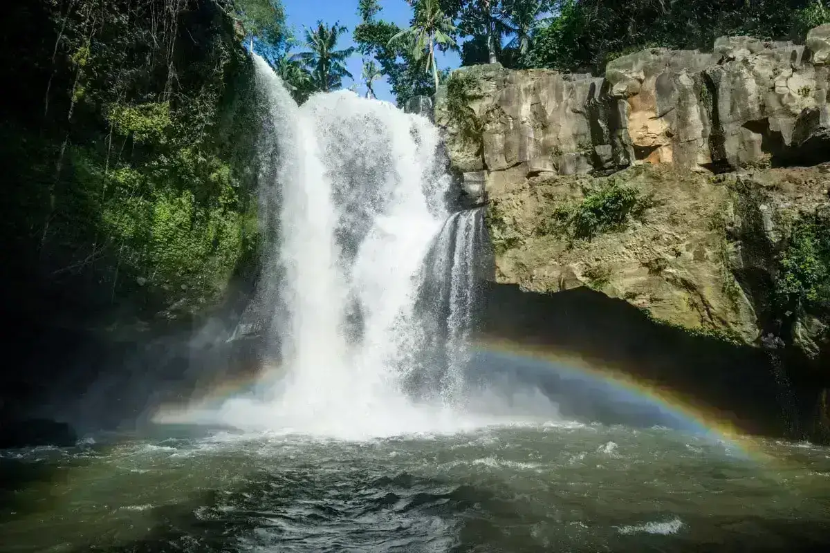 Package - Ubud Bali Tour - Image 2