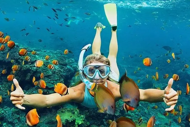 Package - Discover East Bali Underwater Paradise