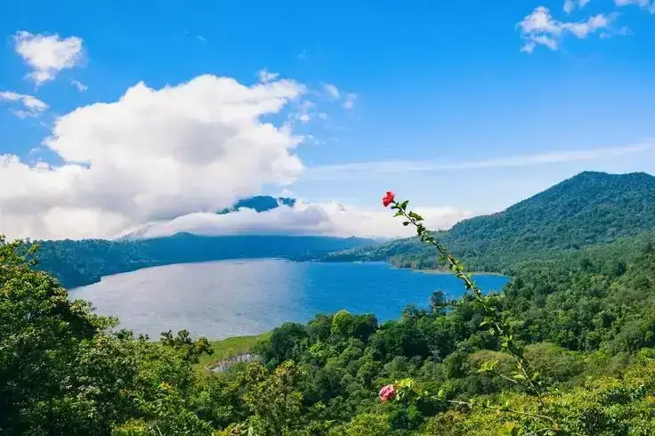 Package - North Bali Tour - Image 2
